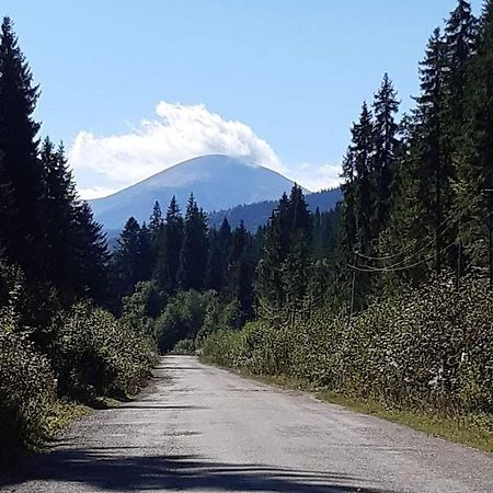 Вілла Говерлянка Ворохта Екстер'єр фото