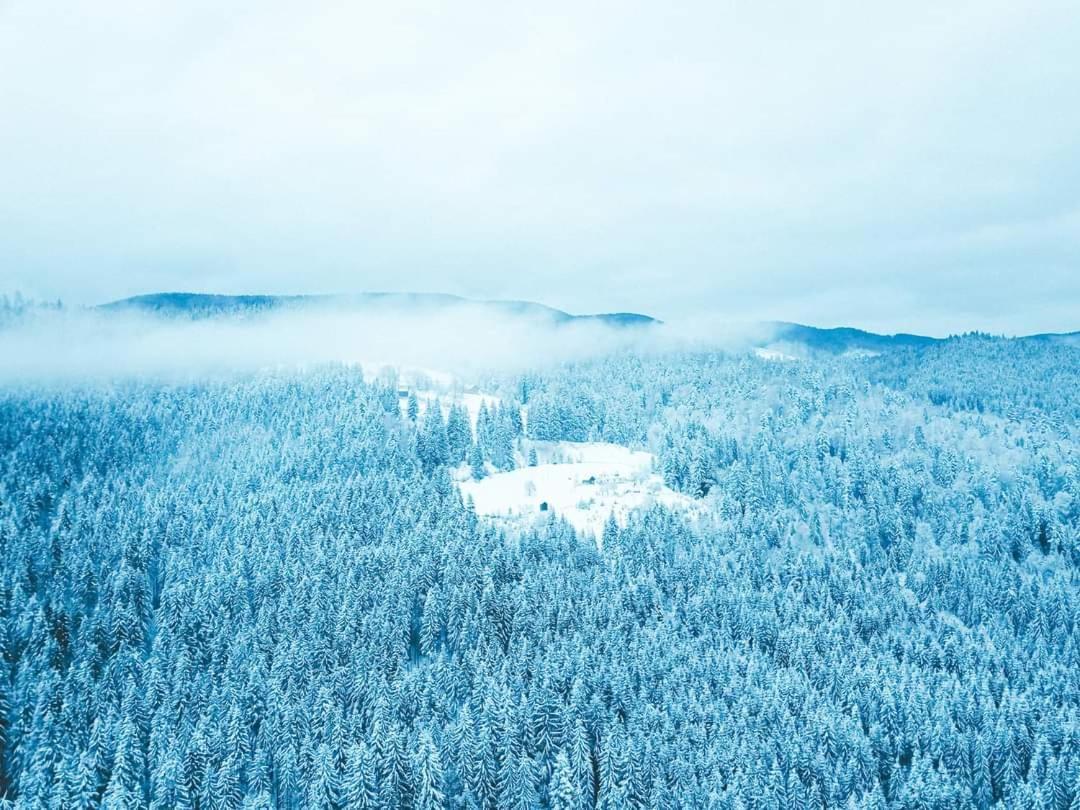 Вілла Говерлянка Ворохта Екстер'єр фото